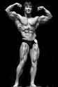 Mr Symmetry