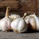 garlic-thinkstockphotos-514990456-square