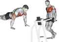 Push-Ups-Vs-Dips-Muscles-Worked-750x516