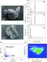 SEM-and-EDS-results-of-a-c-silica-based-particles-and-d-e-microplastic-particles-in
