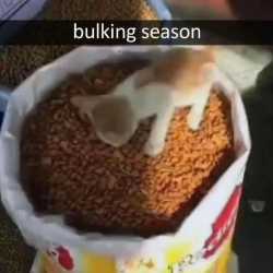 bulker