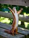 lift your skinny fists like antennas to heaven