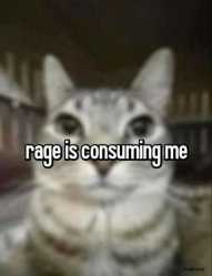 24 KB