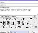 19 KB