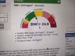 2.64 MB