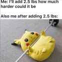 305 KB