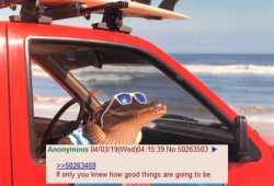 542 KB