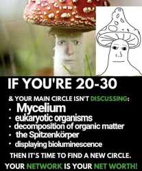 503 KB