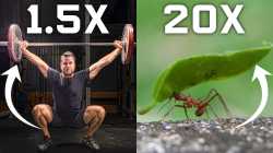 241 KB