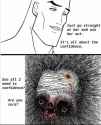222 KB