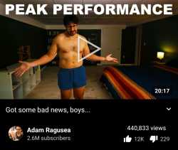 442 KB