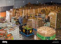 282 KB
