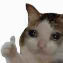 Rule 34 Rule 34 Image