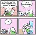 259 KB