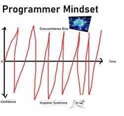 programmer.mindset