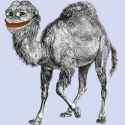 perl-pepe2