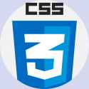 css_logo