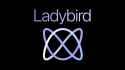 ladybird-browser