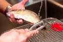 Saveur-how-to-clean-fish_mtg-8353-1024x683