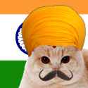 indian cat