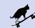 3d rotating cat skateboarding