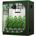 grow tent