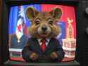 2002 webcam video of CRT TV old grainy low quality 90s hanna-barbera drawn 2d cartoon screenshot. Australian brown fur fat cheeks small adorable quokka wearing presidential suit and red tie at important event in the City, vhs bad quality