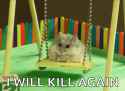 funny-hamster-swing[1]