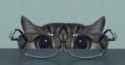 dilated