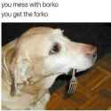 1729140264365184
