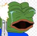 png-clipart-pepe-the-frog-illustration-pepe-the-frog-meme-the-frog-report-crying-frog-animals-grass-thumbnail
