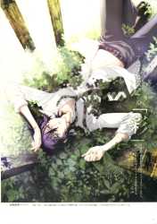 Shiki visual works 05