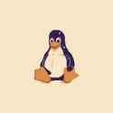 tuxgbac_f_by_aetherexon_dfo5n12-pre