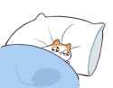 saddest cat