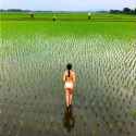 ComfyNative_Chroma29.5_00200_