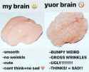 smooth brain