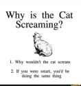 screaming-cat
