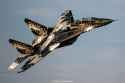 mig 29