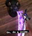 docrime