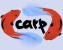 carp_logo