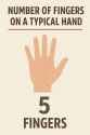 guide to hands
