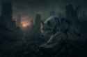 20250604_0048_Resilient Wolf Amid Ruins_simple_compose_01jwvzkr50e47r4yqyrc0gp1se