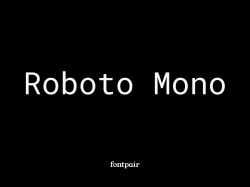 Roboto Mono