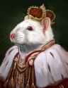 rat_king