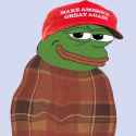 comfy_maga_pepe