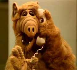 alf-4052863085