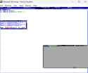 templeOS