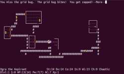 nethack-shot1