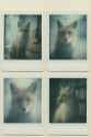 20250624_1446_Dreamy Fox Memories_simple_compose_01jyhqjz47ejwskhz3v27fe7mg
