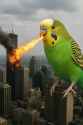20250625_1813_Budgie City Attack_simple_compose_01jymns91qfmc85da9m63syexw